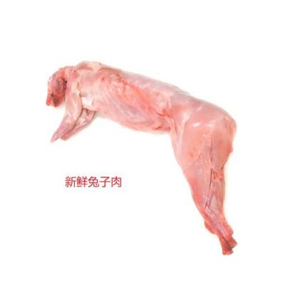 新鲜兔子肉（整只）Per KG  