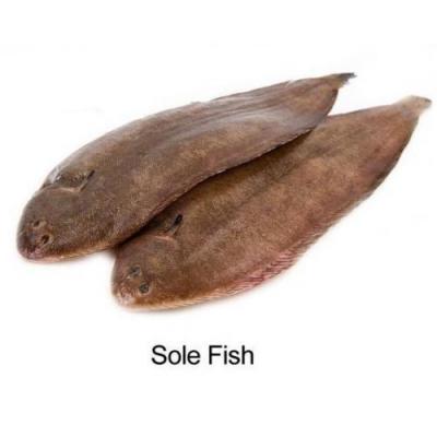 野生龙利鱼 Per Kg