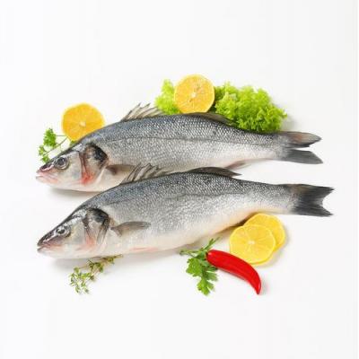 野生海鲈鱼 Per Kg（需提前预定）