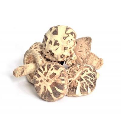 新鲜花菇 230g