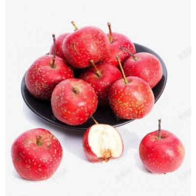 新鲜山楂 440g
