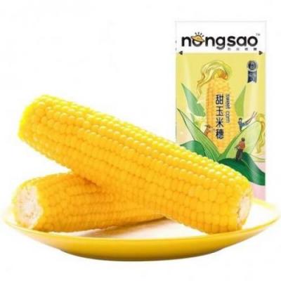 东北农嫂甜玉米 220g