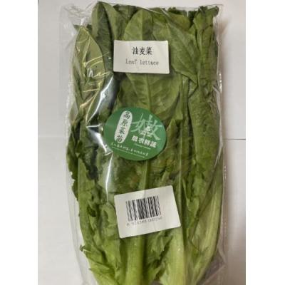 中国空运油麦菜  400g