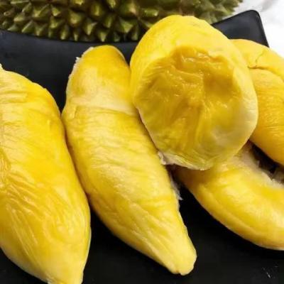 新鲜树熟猫山王榴莲 500g