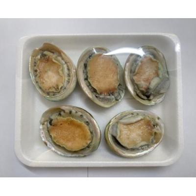 鲜冻鲍鱼 5粒装