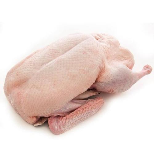 老鸭 1箱 （6只 大概2.2kg）需要提前跟客服预定