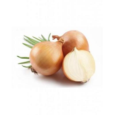 洋葱 per 500g